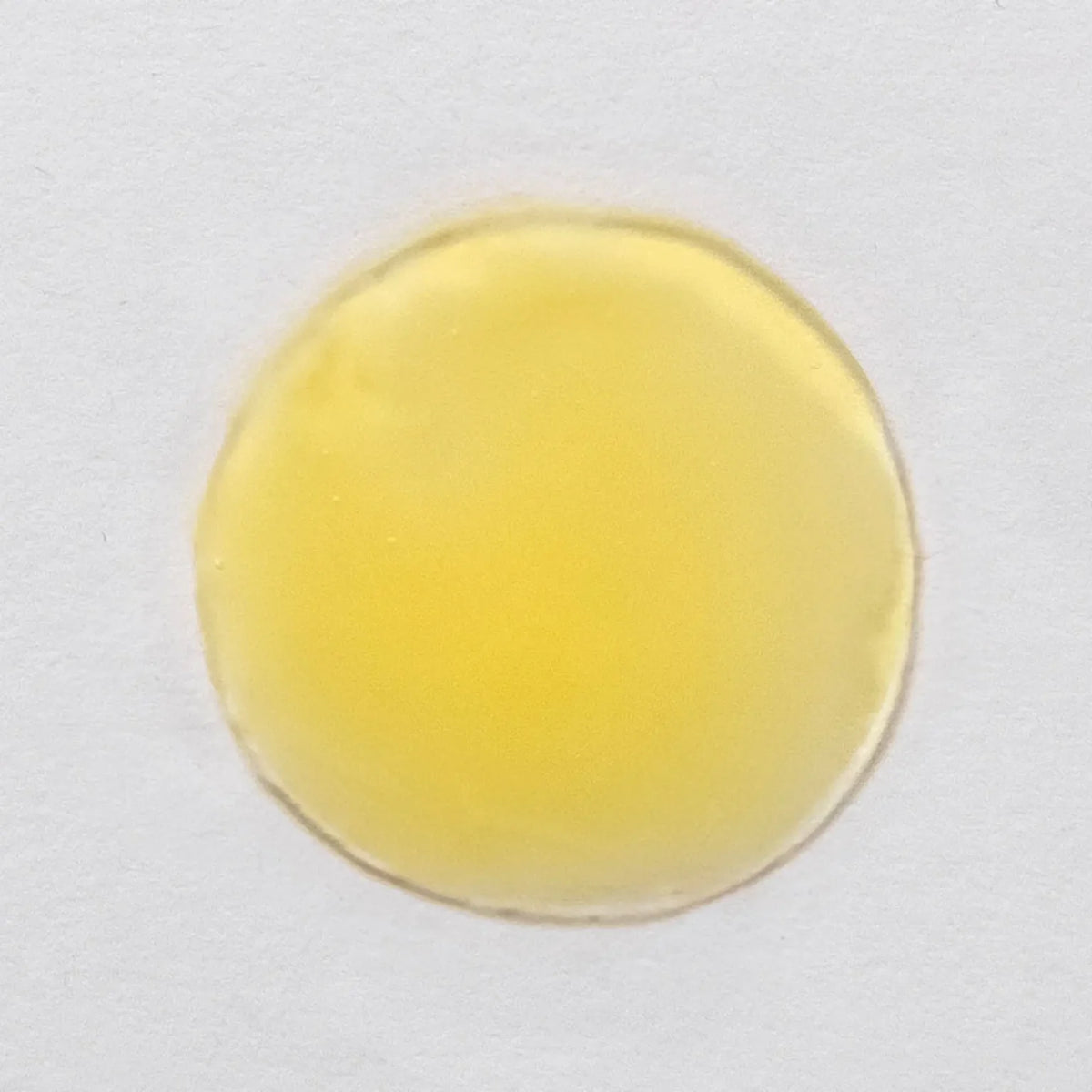 Vitamin C Green Tea Serum